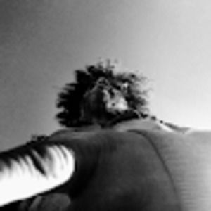 Meet your Posher, And